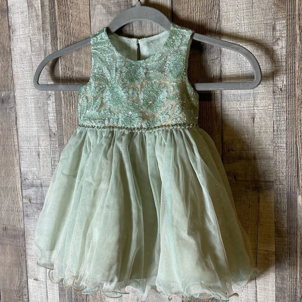 Rare Editions Fancy Embroidered Dress and Bloomers